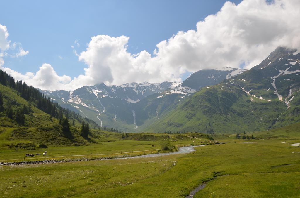 Winklers Gipfelblick Chalet, Inklusive Alpentherme - Ganzjaehrig, Gasteiner Bergbahn - Nur Sommer Бад-Гофгаштайн Екстер'єр фото